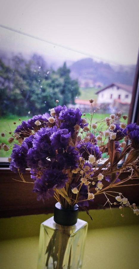 Casa Rural Asitxo Μπερμέο Εξωτερικό φωτογραφία